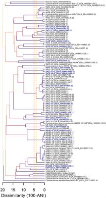 Diversity of the genus Cryobacterium and proposal of 19 novel species isolated from glaciers